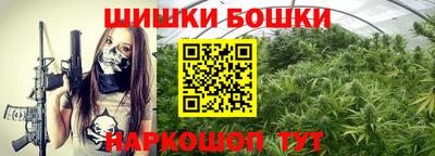 сатива Можга
