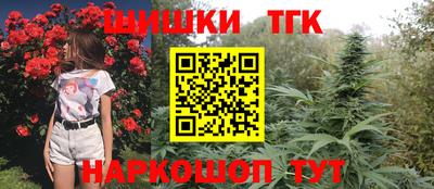 сатива Можга