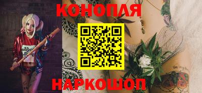 гашик Моздок