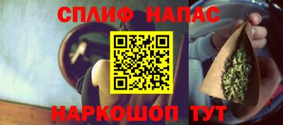 сатива Можга