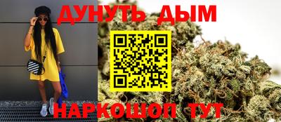 гашик Моздок
