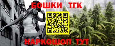 гашик Моздок