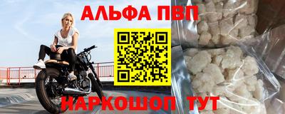 гашик Моздок