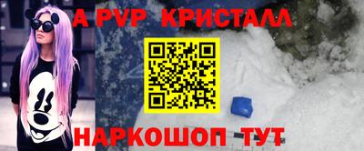 гашик Моздок