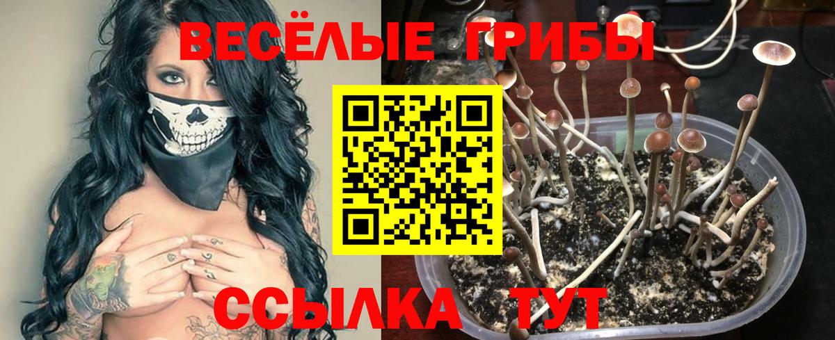 Галлюциногенные грибы Magic Shrooms Черкесск
